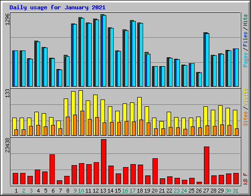 Daily usage for January 2021