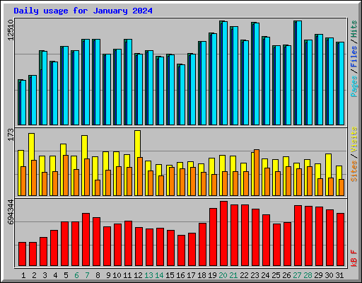 Daily usage for January 2024