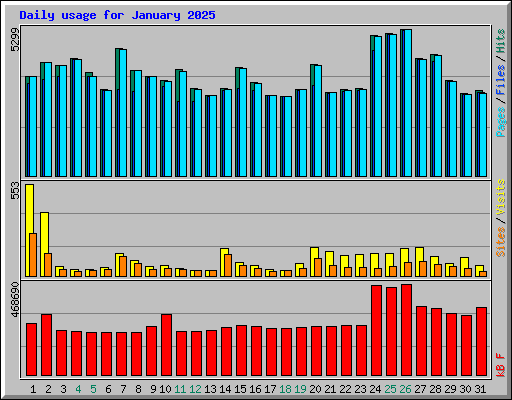 Daily usage for January 2025