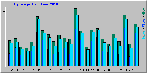 Hourly usage for June 2016