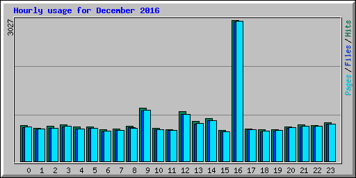 Hourly usage for December 2016