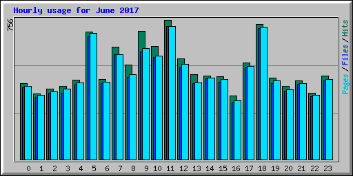 Hourly usage for June 2017