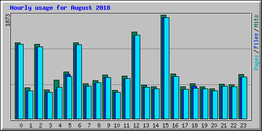 Hourly usage for August 2018