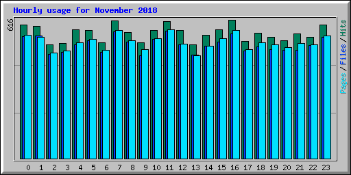 Hourly usage for November 2018