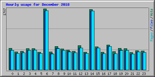 Hourly usage for December 2018