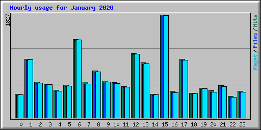 Hourly usage for January 2020