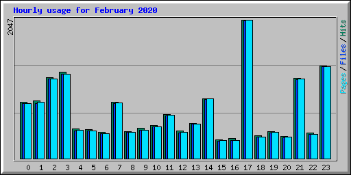 Hourly usage for February 2020