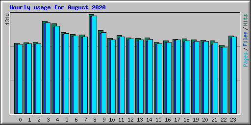 Hourly usage for August 2020