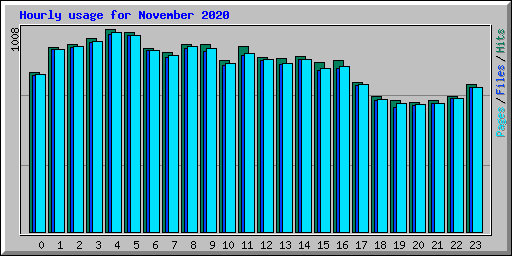 Hourly usage for November 2020