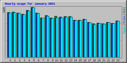 Hourly usage for January 2021