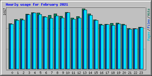 Hourly usage for February 2021