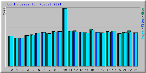 Hourly usage for August 2021