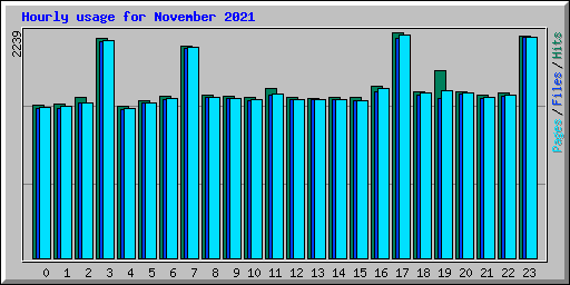 Hourly usage for November 2021