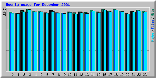 Hourly usage for December 2021