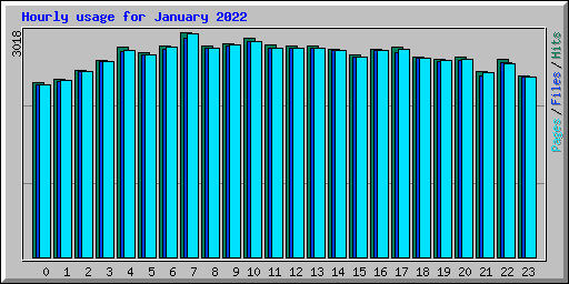 Hourly usage for January 2022
