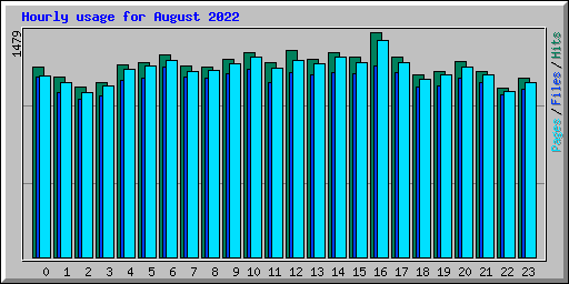 Hourly usage for August 2022