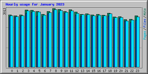 Hourly usage for January 2023