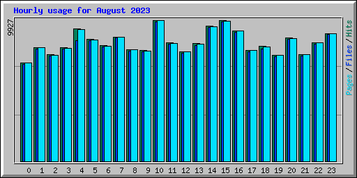 Hourly usage for August 2023