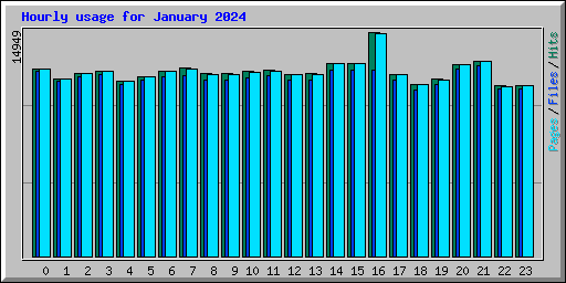 Hourly usage for January 2024