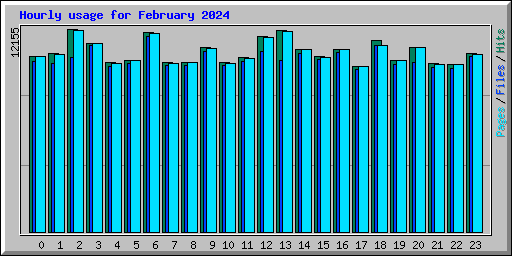 Hourly usage for February 2024