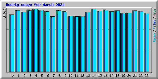 Hourly usage for March 2024