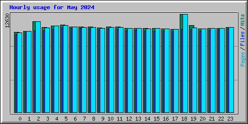 Hourly usage for May 2024