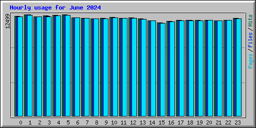 Hourly usage for June 2024