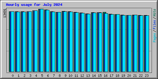 Hourly usage for July 2024