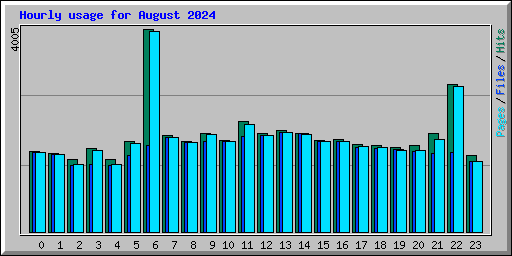 Hourly usage for August 2024