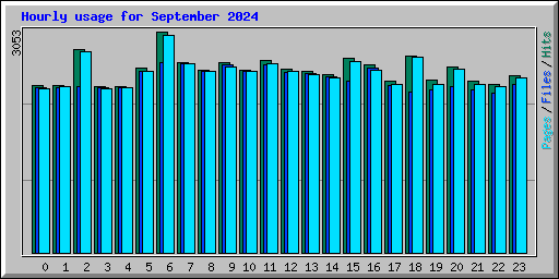Hourly usage for September 2024
