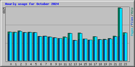 Hourly usage for October 2024