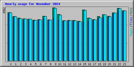 Hourly usage for November 2024