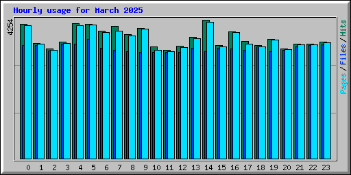 Hourly usage for March 2025