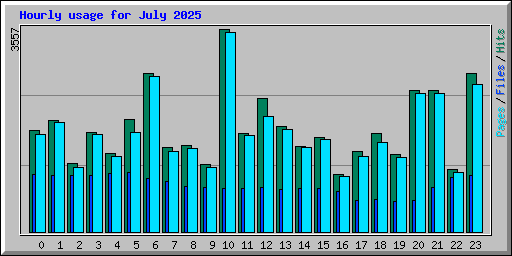 Hourly usage for July 2025