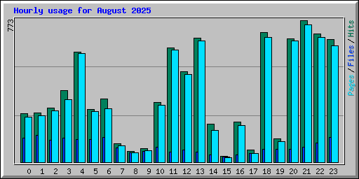 Hourly usage for August 2025