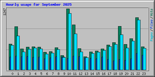 Hourly usage for September 2025