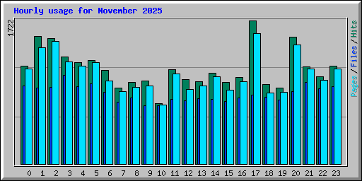 Hourly usage for November 2025